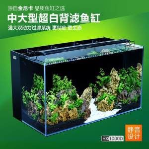 最耐用的金龍魚缸品牌 龍魚百科 第1張