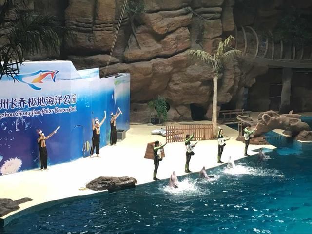 杭州水族館vs祥龍魚場（杭州水族館和祥龍魚場之前，我們需要明確兩者之間的區(qū)別） 全國水族館企業(yè)名錄 第3張