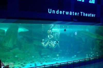 泰安水族館vs祥龍魚場（泰安水族館與祥龍魚場各有側(cè)重） 全國水族館企業(yè)名錄 第2張