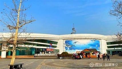 泰安水族館vs祥龍魚場（泰安水族館與祥龍魚場各有側(cè)重） 全國水族館企業(yè)名錄 第3張