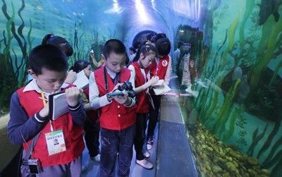 柳州水族館vs祥龍魚場(chǎng)（探討柳州水族館與祥龍魚場(chǎng)之間的差異，我們需要明確兩者的主要業(yè)務(wù)和特點(diǎn)） 全國水族館企業(yè)名錄 第2張