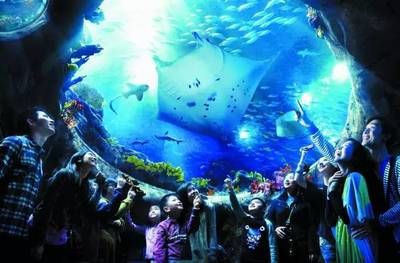 柳州水族館vs祥龍魚場(chǎng)（探討柳州水族館與祥龍魚場(chǎng)之間的差異，我們需要明確兩者的主要業(yè)務(wù)和特點(diǎn)） 全國水族館企業(yè)名錄 第1張