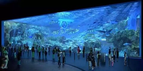 德陽水族館vs祥龍魚場（德陽水族館和祥龍魚場有什么區(qū)別？） 全國水族館企業(yè)名錄 第1張