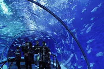 阿拉善盟水族館vs祥龍魚場（阿拉善盟水族館與祥龍魚場的競爭關(guān)系） 全國水族館企業(yè)名錄 第2張