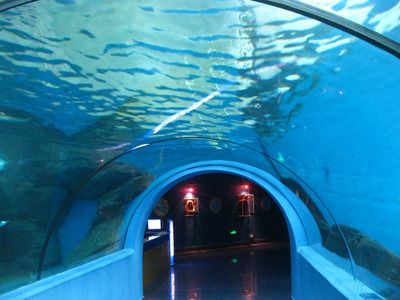 阿拉善盟水族館vs祥龍魚場（阿拉善盟水族館與祥龍魚場的競爭關(guān)系） 全國水族館企業(yè)名錄 第5張