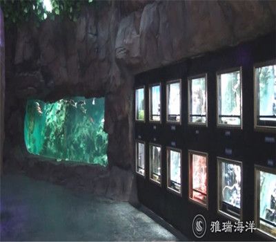 四平水族館vs祥龍魚場（四平水族館與祥龍魚場的區(qū)別） 全國水族館企業(yè)名錄 第3張