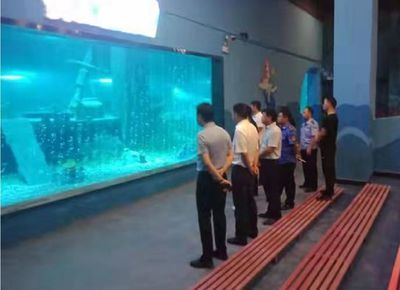 邵陽(yáng)水族館vs祥龍魚(yú)場(chǎng)（邵陽(yáng)水族館與祥龍魚(yú)場(chǎng)的區(qū)別） 全國(guó)水族館企業(yè)名錄 第1張