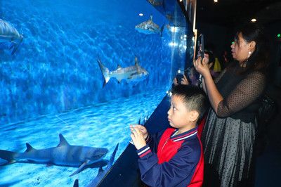 邵陽(yáng)水族館vs祥龍魚(yú)場(chǎng)（邵陽(yáng)水族館與祥龍魚(yú)場(chǎng)的區(qū)別） 全國(guó)水族館企業(yè)名錄 第4張