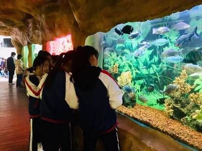 漳州水族館vs祥龍魚場(chǎng)（漳州水族館與祥龍魚場(chǎng)各有特色） 全國(guó)水族館企業(yè)名錄 第2張