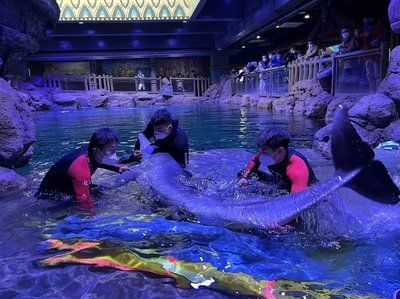 鄭州水族館vs祥龍魚場（探討鄭州水族館與祥龍魚場之間的差異之前需要明確兩者的主要業(yè)務(wù)和特色） 全國水族館企業(yè)名錄 第3張