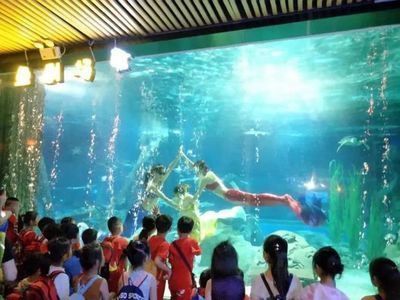 忻州水族館vs祥龍魚場（忻州水族館與祥龍魚場各有側(cè)重） 全國水族館企業(yè)名錄 第2張