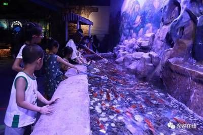 忻州水族館vs祥龍魚場（忻州水族館與祥龍魚場各有側(cè)重） 全國水族館企業(yè)名錄 第1張