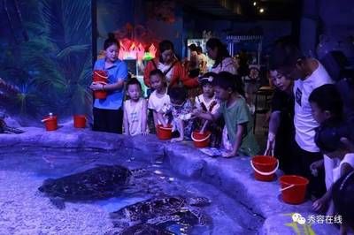 忻州水族館vs祥龍魚場（忻州水族館與祥龍魚場各有側(cè)重） 全國水族館企業(yè)名錄 第4張