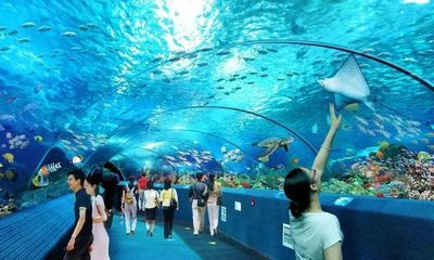 忻州水族館vs祥龍魚場（忻州水族館與祥龍魚場各有側(cè)重） 全國水族館企業(yè)名錄 第3張