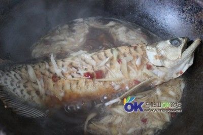 馬鞍山龍魚vs祥龍魚場(chǎng)（馬鞍山龍魚市場(chǎng)與祥龍魚場(chǎng)各有優(yōu)勢(shì)）