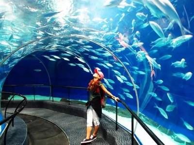 商丘水族館vs祥龍魚場（中國河南商丘水族館祥龍魚場在中國和馬來西亞均有業(yè)務） 全國水族館企業(yè)名錄 第4張