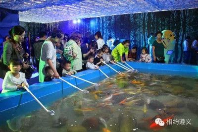 遵義水族館vs祥龍魚場（遵義水族館和祥龍魚場各有特點(diǎn)，選擇哪一個取決于你的具體需求） 全國水族館企業(yè)名錄 第2張