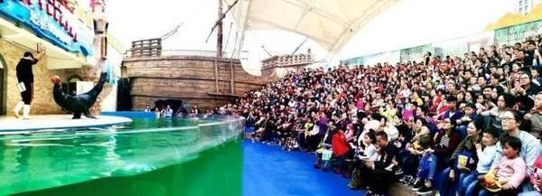 遵義水族館vs祥龍魚場（遵義水族館和祥龍魚場各有特點(diǎn)，選擇哪一個取決于你的具體需求） 全國水族館企業(yè)名錄 第5張