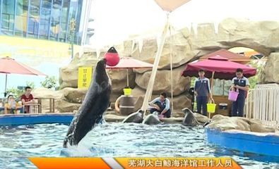 蕪湖水族館vs祥龍魚(yú)場(chǎng)（蕪湖水族館與祥龍魚(yú)場(chǎng)的區(qū)別） 全國(guó)水族館企業(yè)名錄 第4張