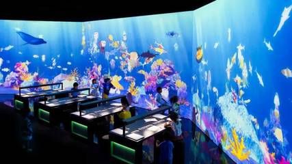 廊坊水族館vs祥龍魚場（廊坊水族館與祥龍魚場各有側(cè)重） 全國水族館企業(yè)名錄 第3張