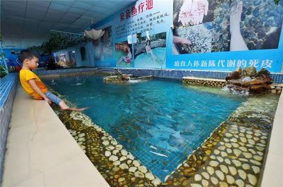 陽江水族館vs祥龍魚場（陽江水族館與祥龍魚場的區(qū)別） 全國水族館企業(yè)名錄 第3張