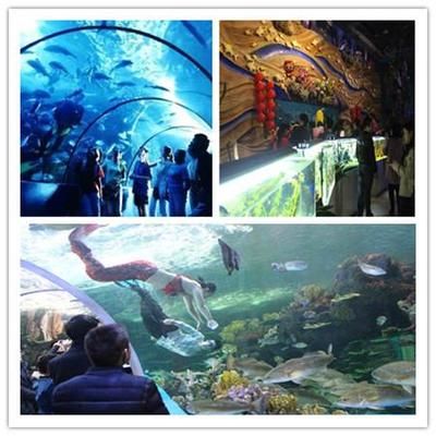 運城水族館vs祥龍魚場（運城水族館與祥龍魚場） 全國水族館企業(yè)名錄 第3張