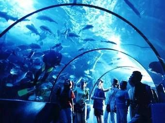 運城水族館vs祥龍魚場（運城水族館與祥龍魚場） 全國水族館企業(yè)名錄 第4張