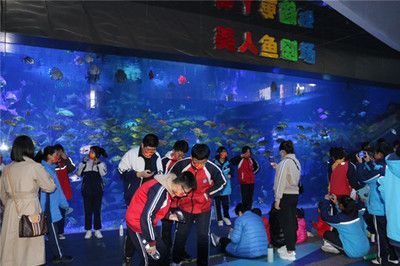 濱州水族館vs祥龍魚場(chǎng)（濱州水族館與祥龍魚場(chǎng)各有特點(diǎn)） 全國水族館企業(yè)名錄 第2張