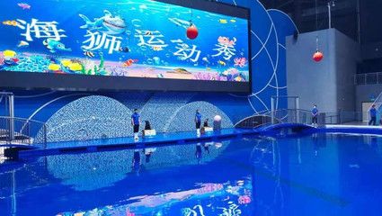 濱州水族館vs祥龍魚場(chǎng)（濱州水族館與祥龍魚場(chǎng)各有特點(diǎn)） 全國水族館企業(yè)名錄 第1張