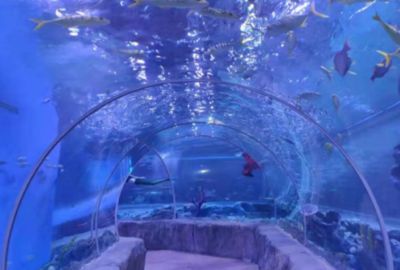 平頂山水族館vs祥龍魚場（平頂山水族館與祥龍魚場之間的差異之前，我們需要明確的業(yè)務(wù)范圍） 全國水族館企業(yè)名錄 第2張