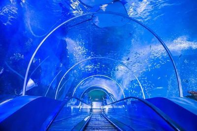 淮北水族館vs祥龍魚場（淮北市相山區(qū)龍鱗閣水族館和淮北市相山區(qū)居龍坊水族館） 全國水族館企業(yè)名錄 第5張