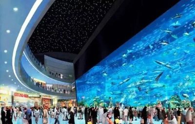 榆林水族館vs祥龍魚場（榆林市榆陽區(qū)水森林水族館和祥龍魚場有著更深的影響力） 全國水族館企業(yè)名錄 第2張