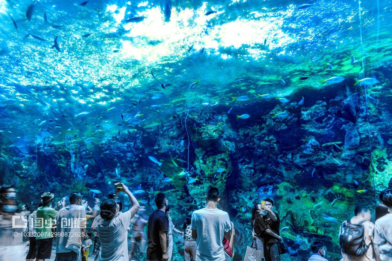 珠海水族館vs祥龍魚場(chǎng)（探討珠海水族館與祥龍魚場(chǎng)之間的差異） 全國(guó)水族館企業(yè)名錄 第1張