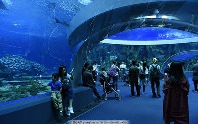 珠海水族館vs祥龍魚場(chǎng)（探討珠海水族館與祥龍魚場(chǎng)之間的差異） 全國(guó)水族館企業(yè)名錄 第5張