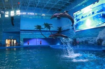 貴陽水族館vs祥龍魚場（貴陽南明海源濤水族館） 全國水族館企業(yè)名錄 第2張