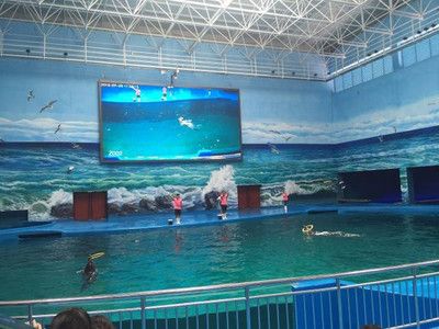 貴陽水族館vs祥龍魚場（貴陽南明海源濤水族館） 全國水族館企業(yè)名錄 第1張