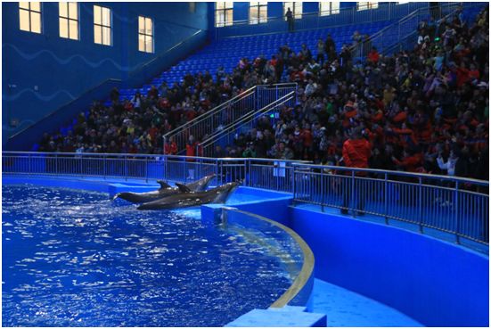 貴陽水族館vs祥龍魚場（貴陽南明海源濤水族館） 全國水族館企業(yè)名錄 第3張