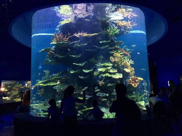 貴陽水族館vs祥龍魚場（貴陽南明海源濤水族館） 全國水族館企業(yè)名錄 第4張