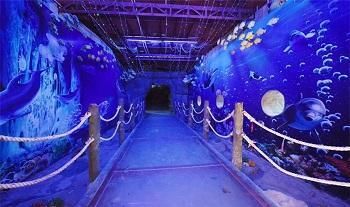 湛江水族館vs祥龍魚場（湛江水族館與祥龍魚場有什么區(qū)別？） 全國水族館企業(yè)名錄 第1張