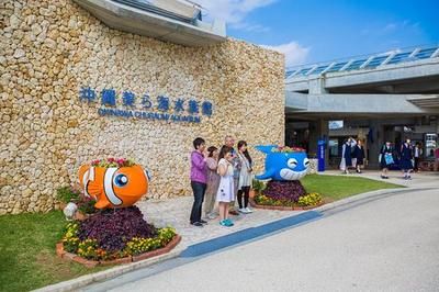 湛江水族館vs祥龍魚場（湛江水族館與祥龍魚場有什么區(qū)別？） 全國水族館企業(yè)名錄 第5張