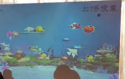 湛江水族館vs祥龍魚場（湛江水族館與祥龍魚場有什么區(qū)別？） 全國水族館企業(yè)名錄 第4張