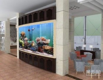 六盤水龍魚vs祥龍魚場（祥龍魚場和六盤水龍魚哪個好） 全國水族館企業(yè)名錄 第2張