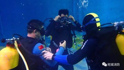 南陽水族館vs祥龍魚場（南陽水族館和祥龍魚場各有其特色和目標客戶群）