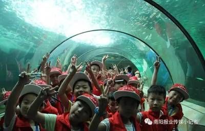 南陽水族館vs祥龍魚場（南陽水族館和祥龍魚場各有其特色和目標客戶群）