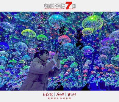 博爾塔拉蒙古自治州水族館vs祥龍魚場（博爾塔拉蒙古自治州水族館） 全國水族館企業(yè)名錄 第2張