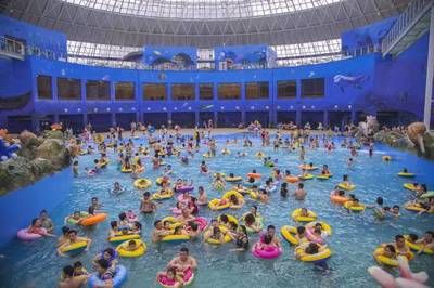 營口水族館vs祥龍魚場（營口水族館和祥龍魚場有什么區(qū)別？） 全國水族館企業(yè)名錄 第3張