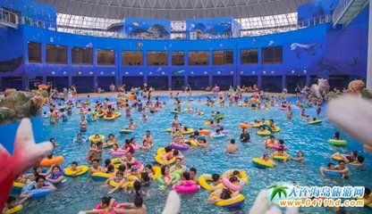 營口水族館vs祥龍魚場（營口水族館和祥龍魚場有什么區(qū)別？） 全國水族館企業(yè)名錄 第5張