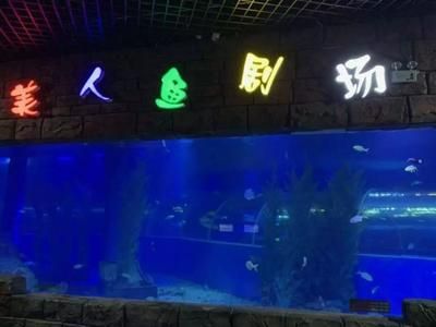 玉溪水族館vs祥龍魚場（玉溪水族館與祥龍魚場之間的差異之前，我們需要明確基本信息和業(yè)務(wù)范圍） 全國水族館企業(yè)名錄 第5張