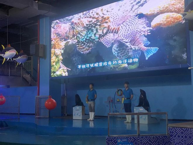 許昌水族館vs祥龍魚場(chǎng)（許昌水族館與祥龍魚場(chǎng)各有側(cè)重） 全國(guó)水族館企業(yè)名錄 第5張