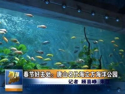 唐山水族館vs祥龍魚(yú)場(chǎng)（唐山水族館和祥龍魚(yú)場(chǎng)哪個(gè)好） 全國(guó)水族館企業(yè)名錄 第3張